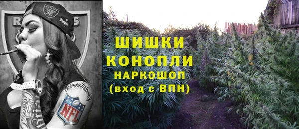 крисы Алзамай