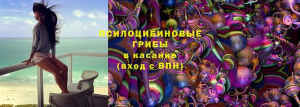 дмт Алексин