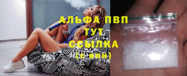 крисы Алзамай