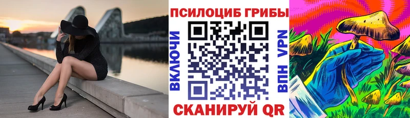 Галлюциногенные грибы Cubensis Болохово